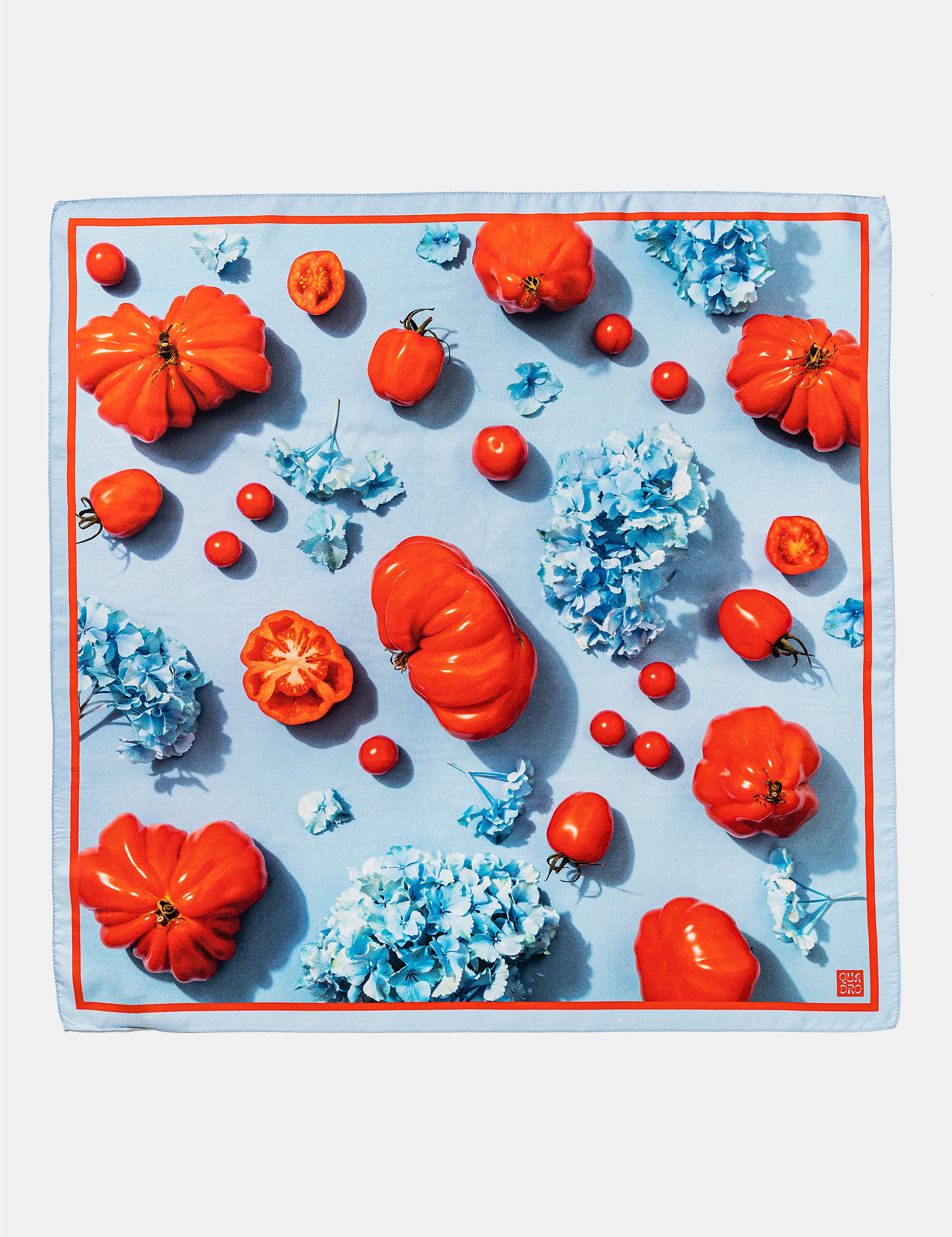 250810_Quadro_Zuerich_foulard_Pomodoro_5641f544-f01a-441d-8bc2-f77360b49d01.jpg